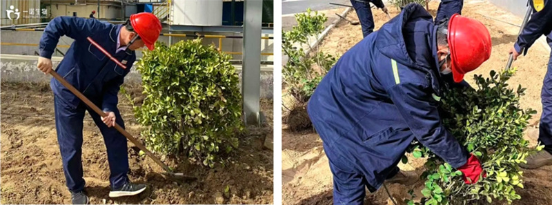 碳中和目标企业实践,绿色化工绿色工厂